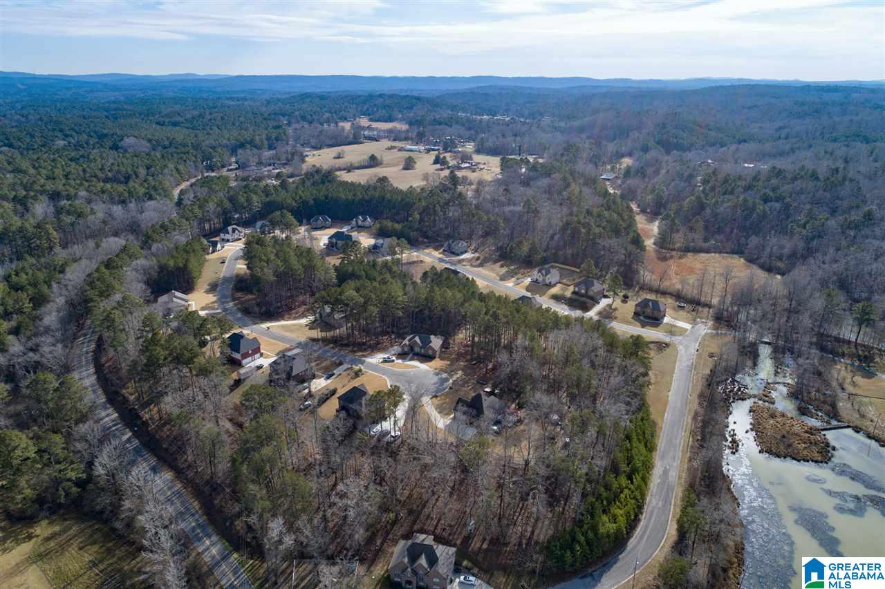 1045 Sedgefield Circle Morris, AL 35116 - Photo 41 of 41