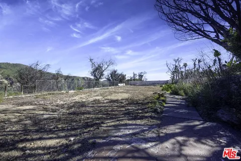 a view of a yard with a tree in the background