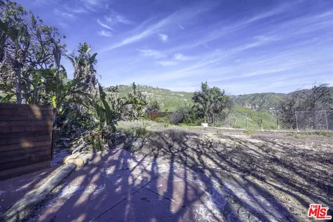 a view of a yard with a tree