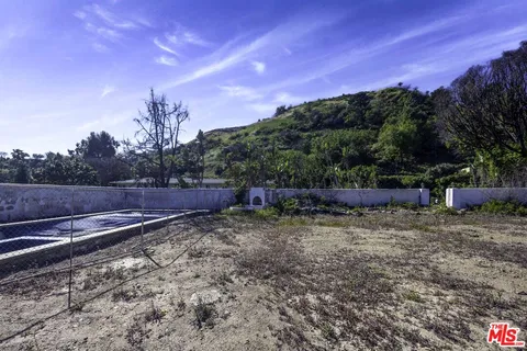 a view of a backyard with trees