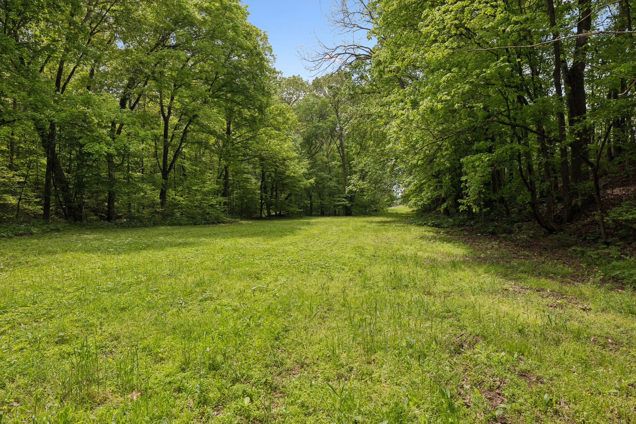 0 Lower Shipps Bend Road North Centerville, TN 37033 - Photo 11 of 54 Gallery Image 11