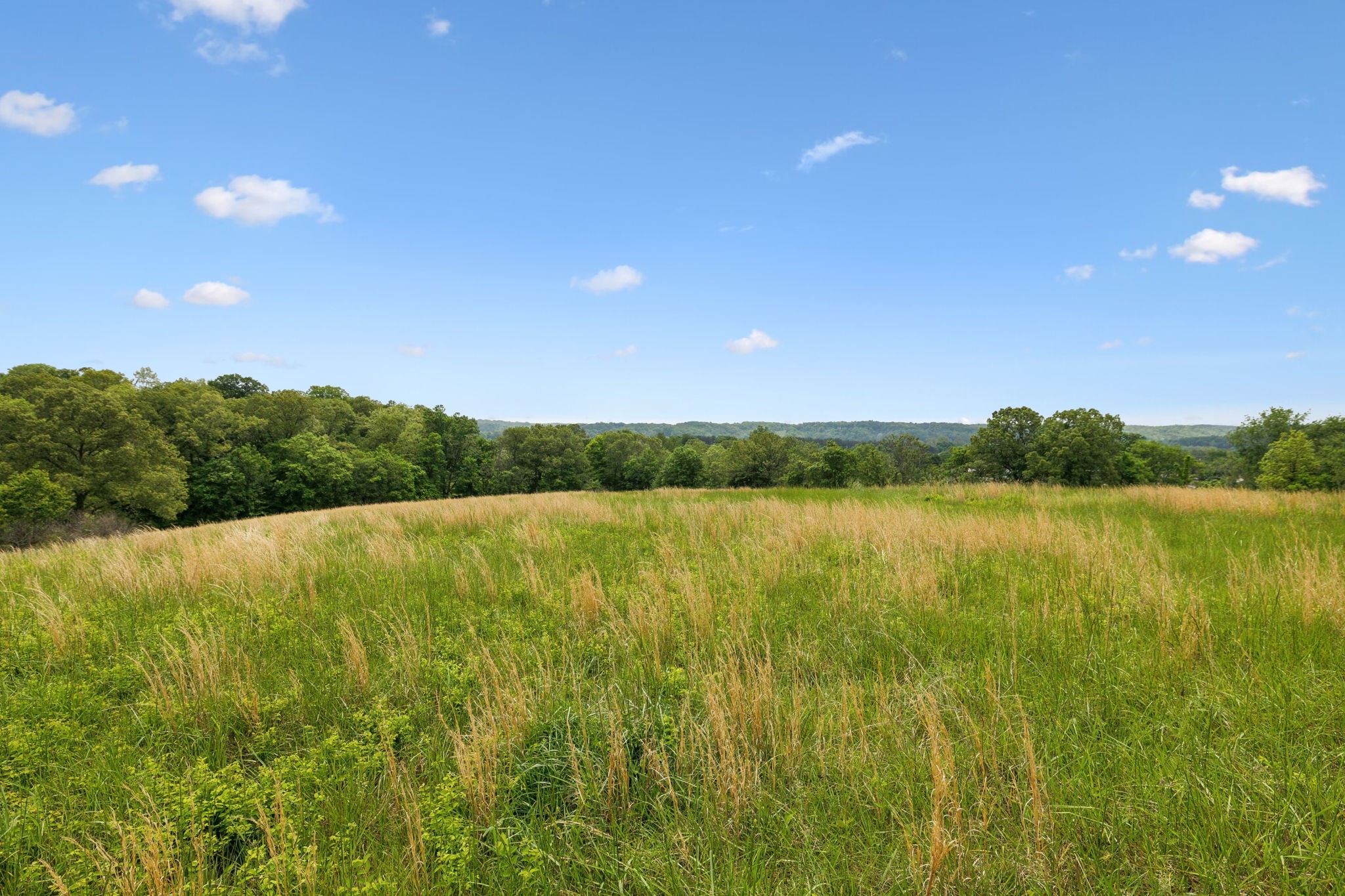 0 Lower Shipps Bend Road North Centerville, TN 37033 - Photo 13 of 54 Gallery Image 13
