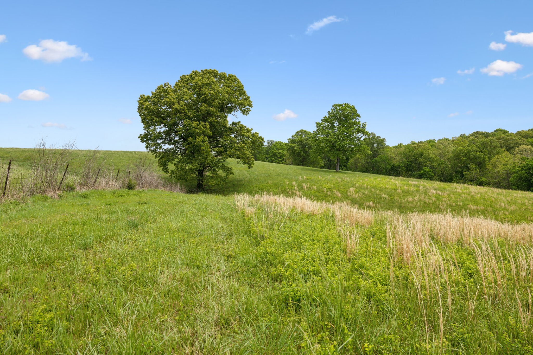 0 Lower Shipps Bend Road North Centerville, TN 37033 - Photo 14 of 54 Gallery Image 14