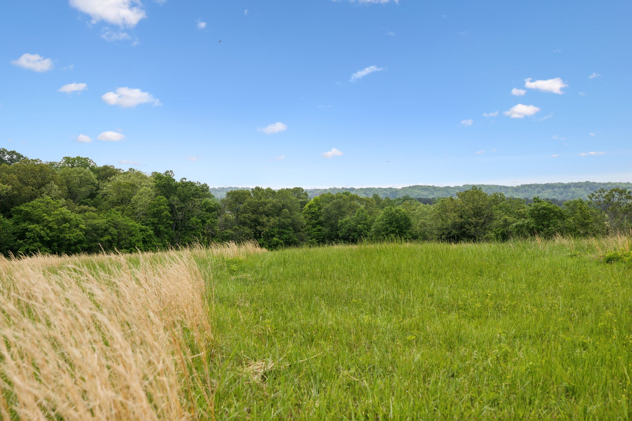 0 Lower Shipps Bend Road North Centerville, TN 37033 - Photo 17 of 54 Gallery Image 17