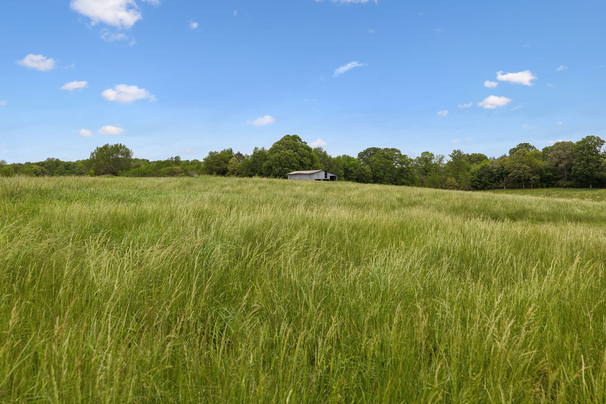 0 Lower Shipps Bend Road North Centerville, TN 37033 - Photo 23 of 54 Gallery Image 23