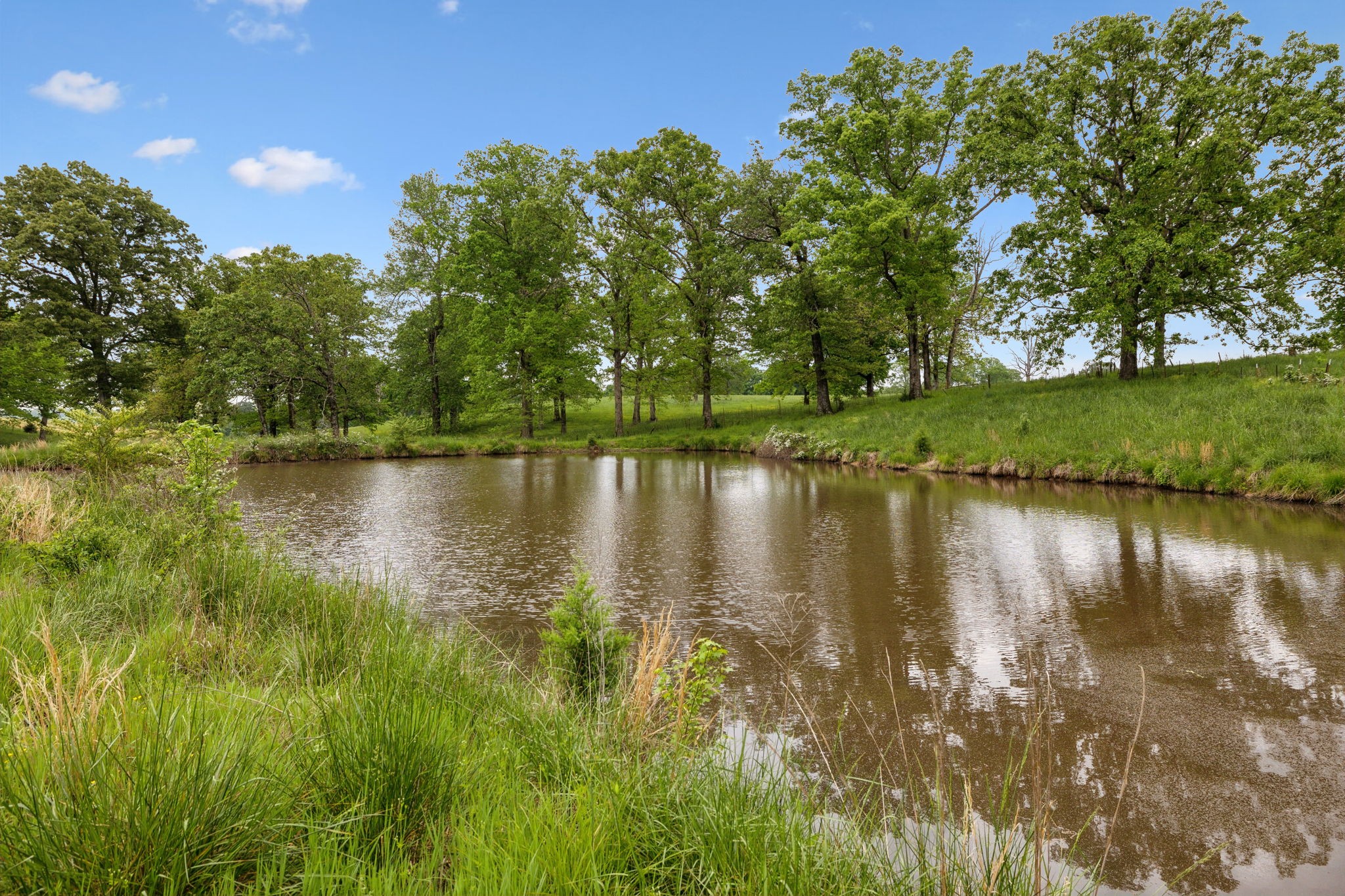 0 Lower Shipps Bend Road North Centerville, TN 37033 - Photo 27 of 54 Gallery Image 27