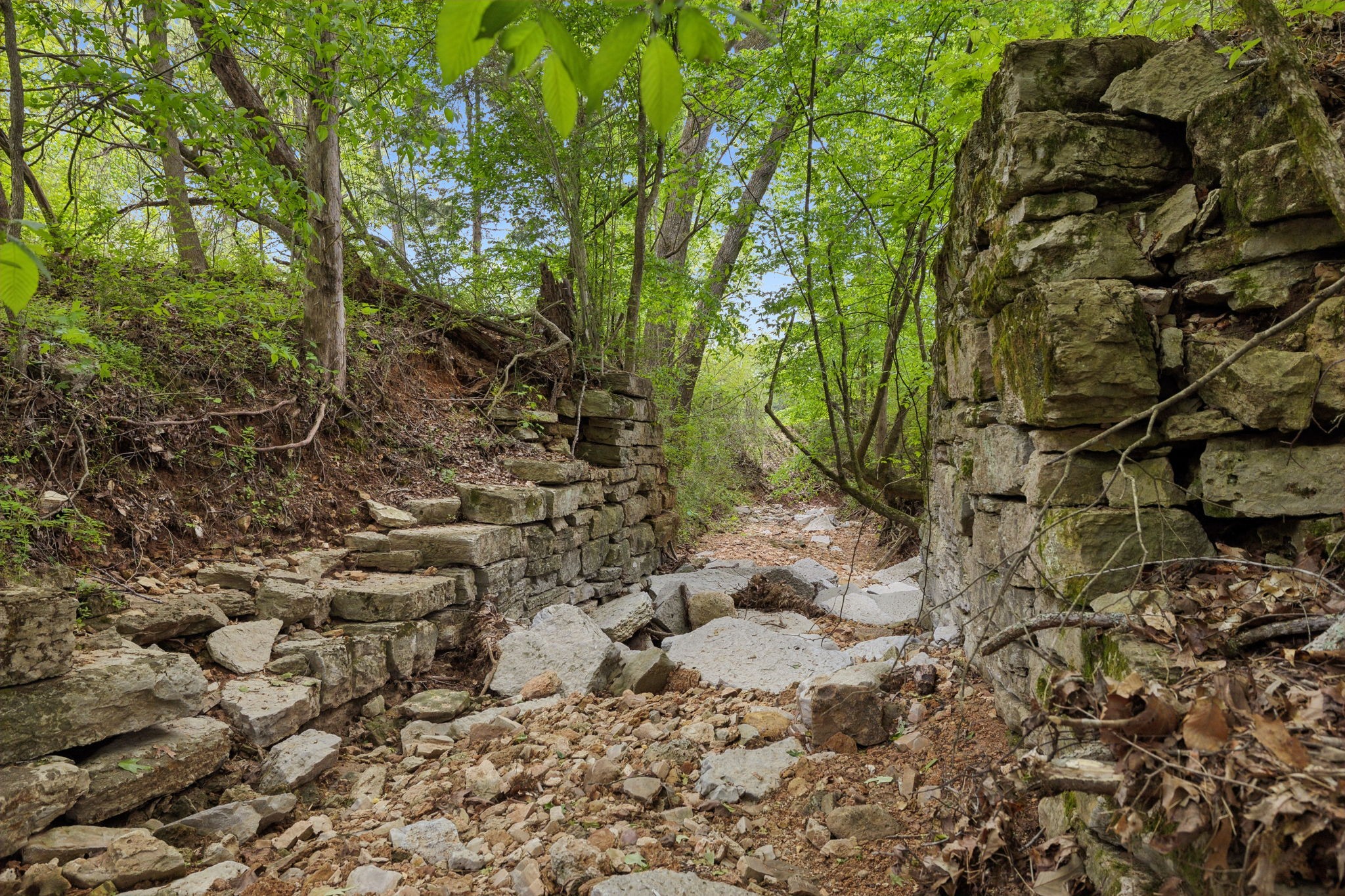 0 Lower Shipps Bend Road North Centerville, TN 37033 - Photo 29 of 54 Gallery Image 29