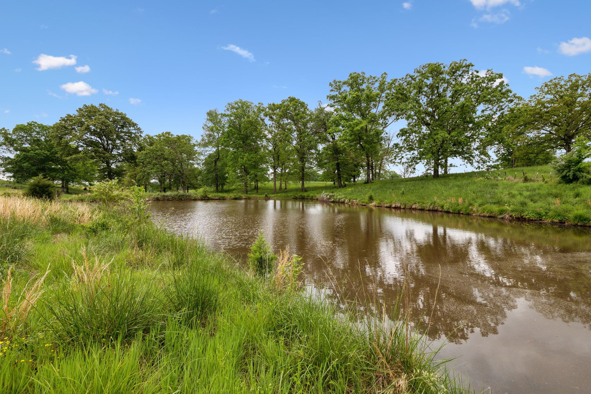 0 Lower Shipps Bend Road North Centerville, TN 37033 - Photo 3 of 54 Gallery Image 3