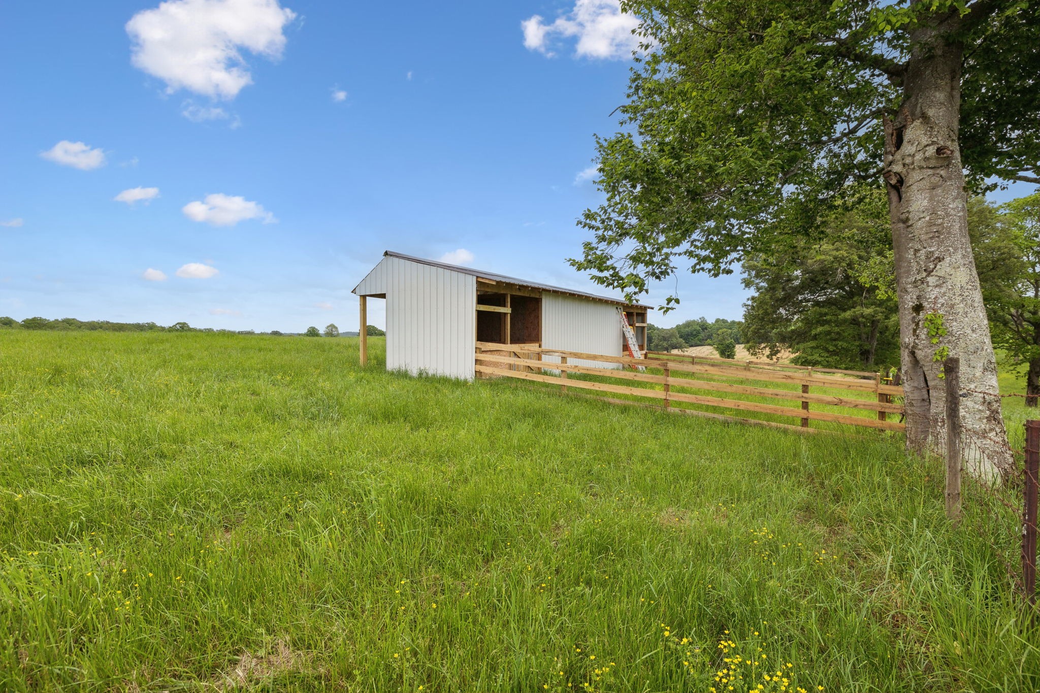 0 Lower Shipps Bend Road North Centerville, TN 37033 - Photo 7 of 54 Gallery Image 7