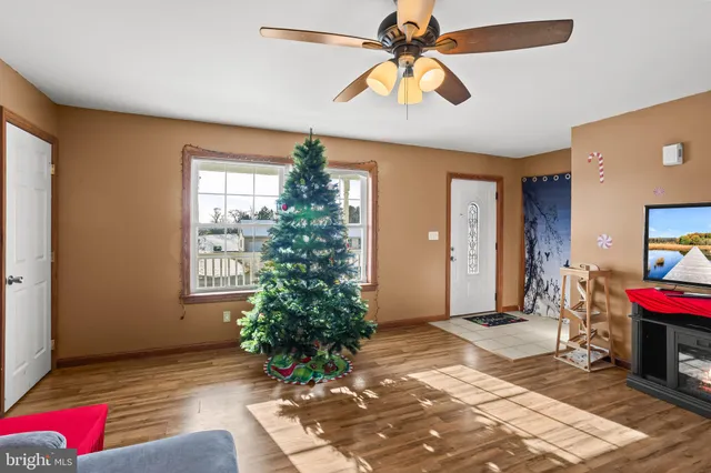 a view of a livingroom with a potted plant a ceiling fan and a window