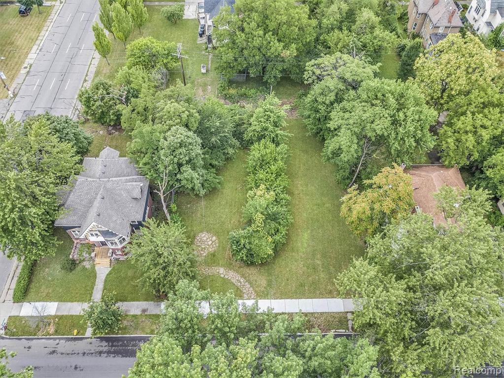 227 Alger Street Detroit, MI 48202 - Photo 3 of 12 Gallery Image 3