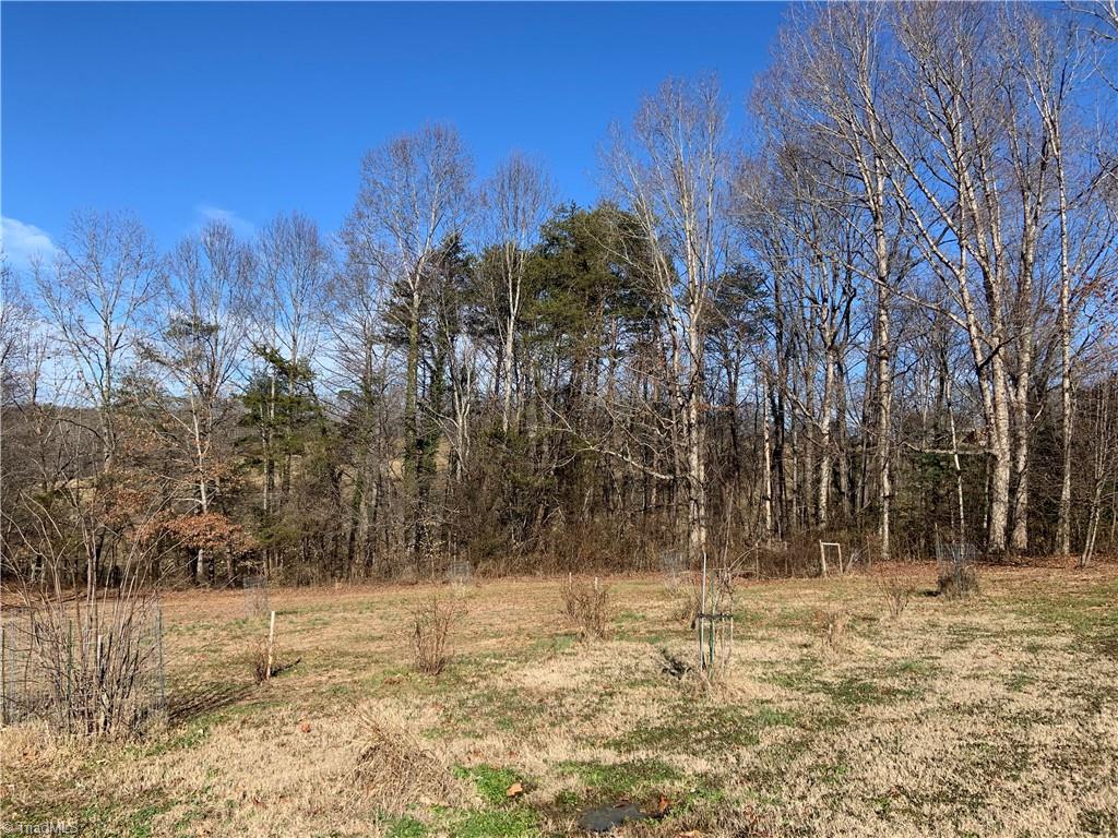 165 Old Ridge Road Mount Airy, NC 27030 - Photo 31 of 32 Gallery Image 31