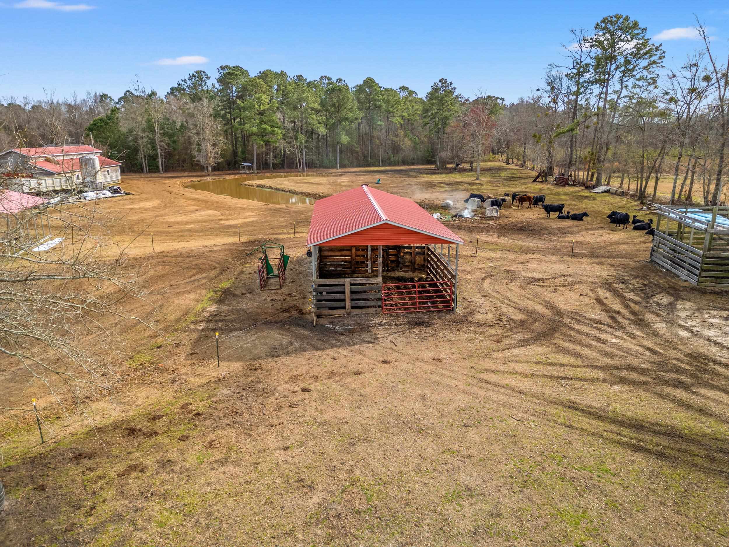 795 Dog Bluff Road Galivants Ferry, SC 29544 - Photo 11 of 26