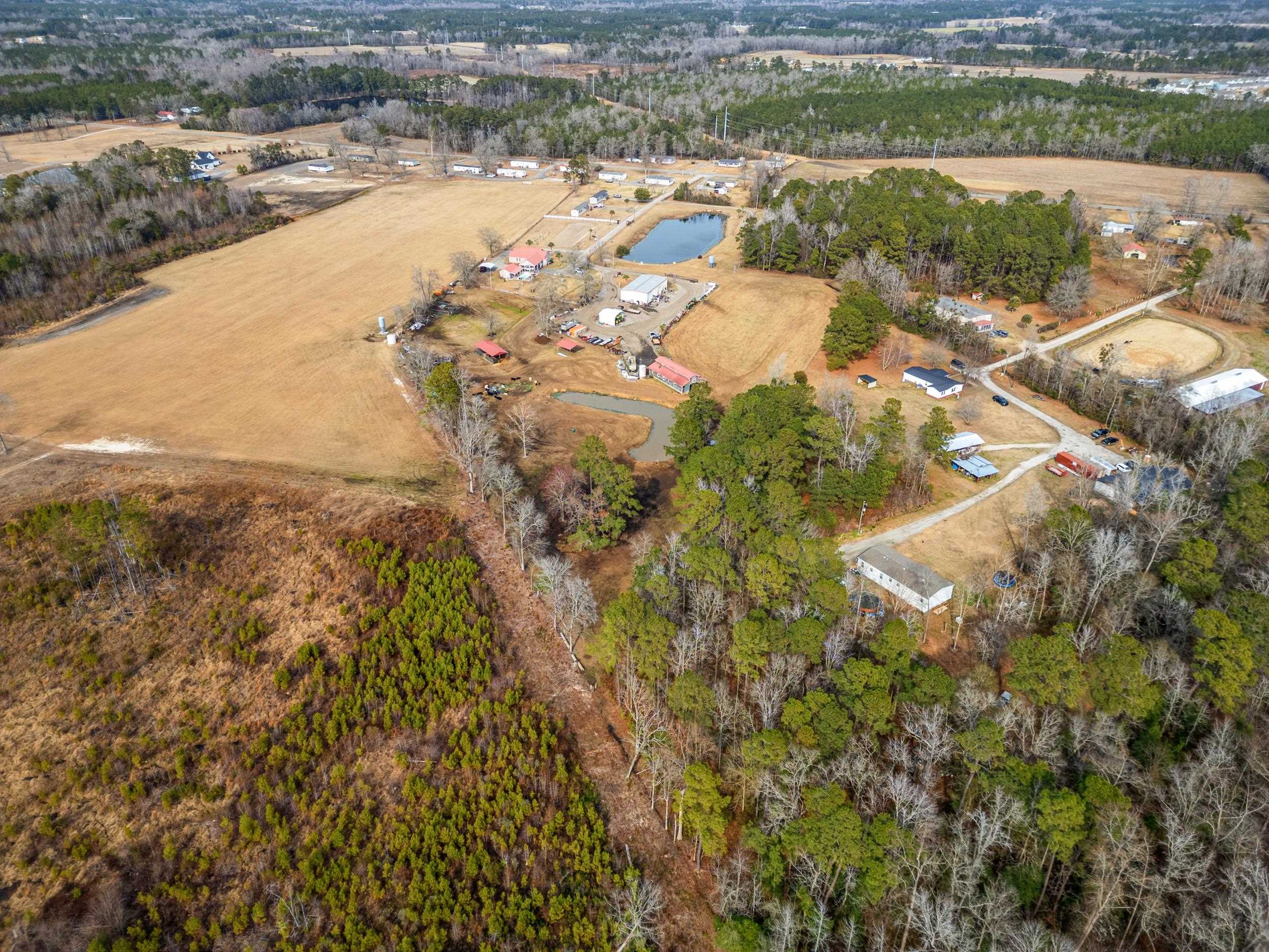 795 Dog Bluff Road Galivants Ferry, SC 29544 - Photo 21 of 26