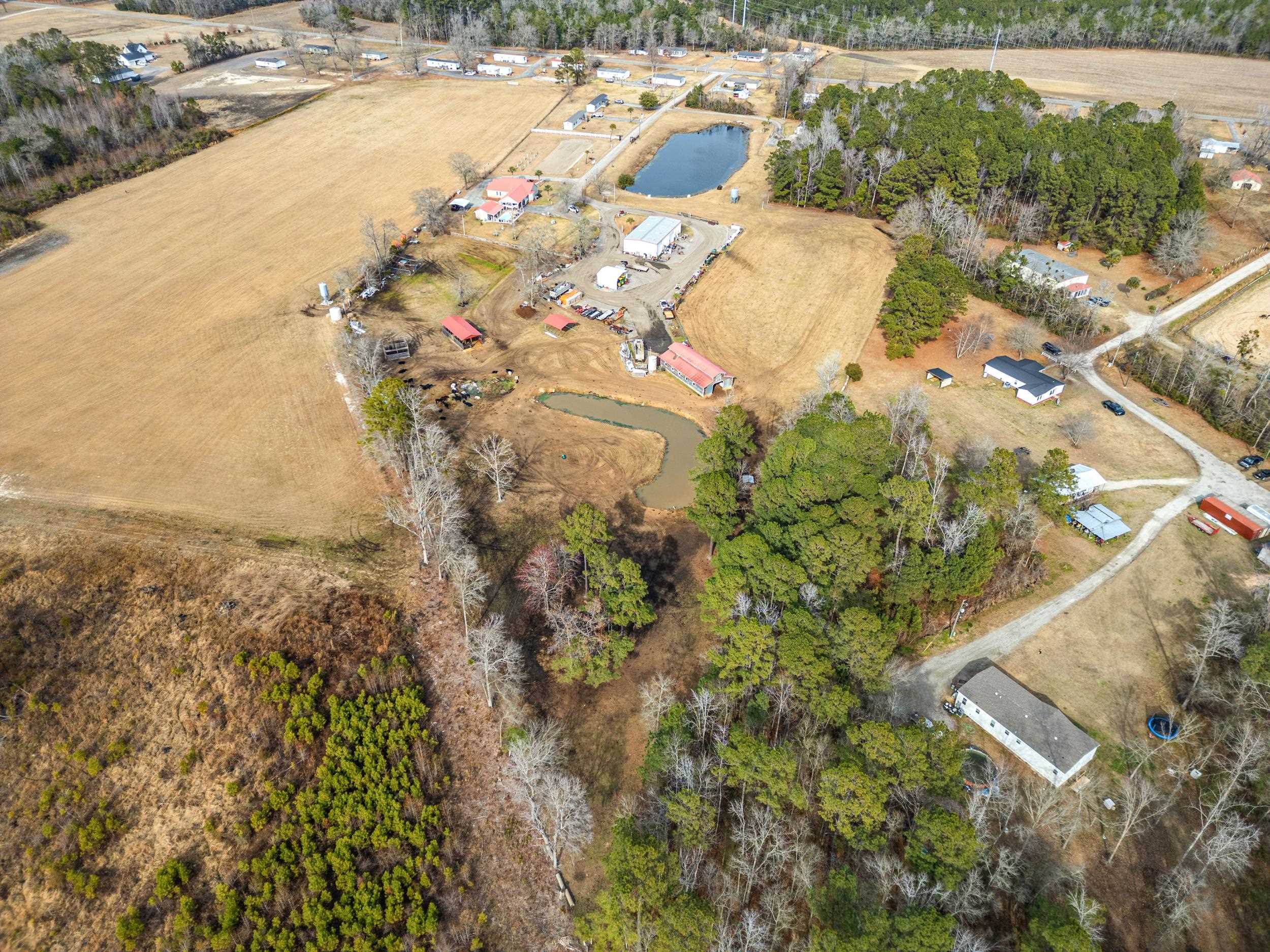 795 Dog Bluff Road Galivants Ferry, SC 29544 - Photo 22 of 26