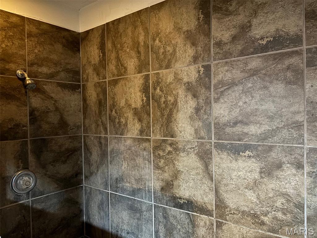 5 Seclusion Wds Festus, MO 63028 - Photo 29 of 31