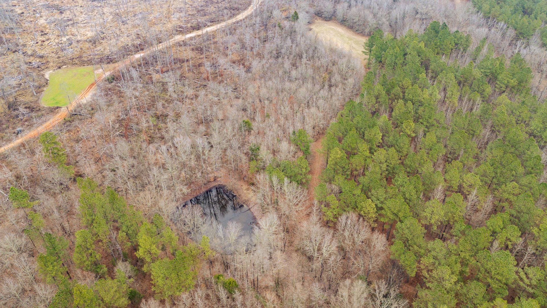 10970 Peavine Road Pocahontas, TN 38061 - Photo 3 of 26