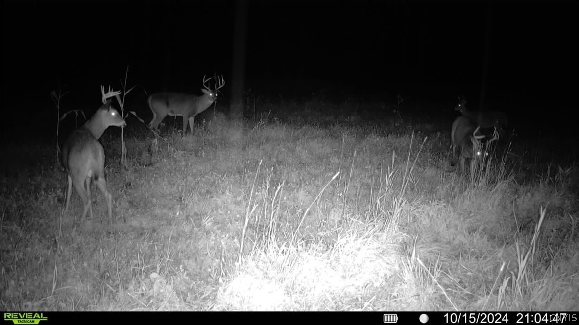 0 County Rte 35 Norwood, NY 13668 - Photo 6 of 6