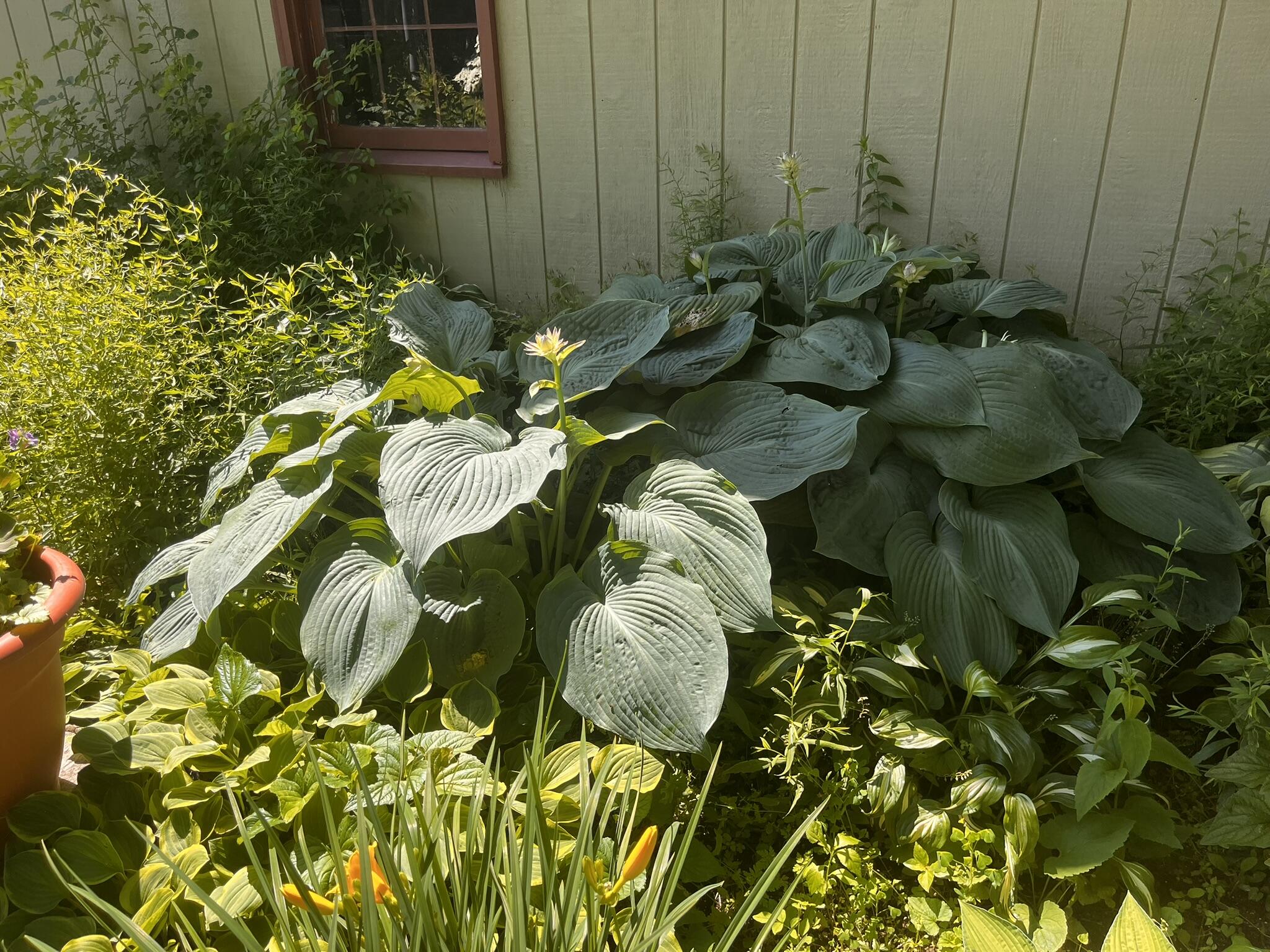 155 Lessner Road Damariscotta, ME 04543 - Photo 73 of 80 IMG_8214