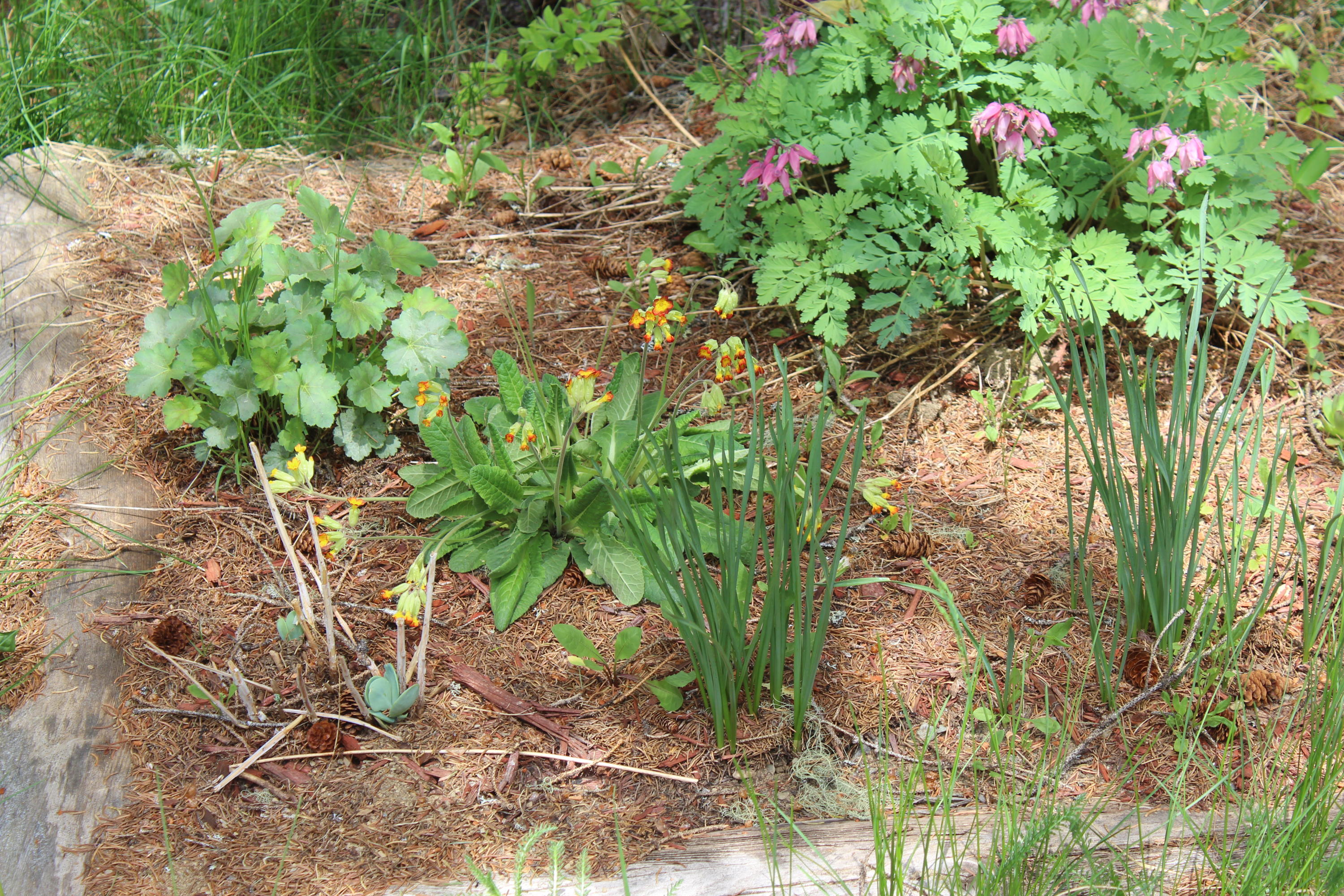 9 Willigar Road Crystal, ME 04747 - Photo 28 of 55 IMG_2031