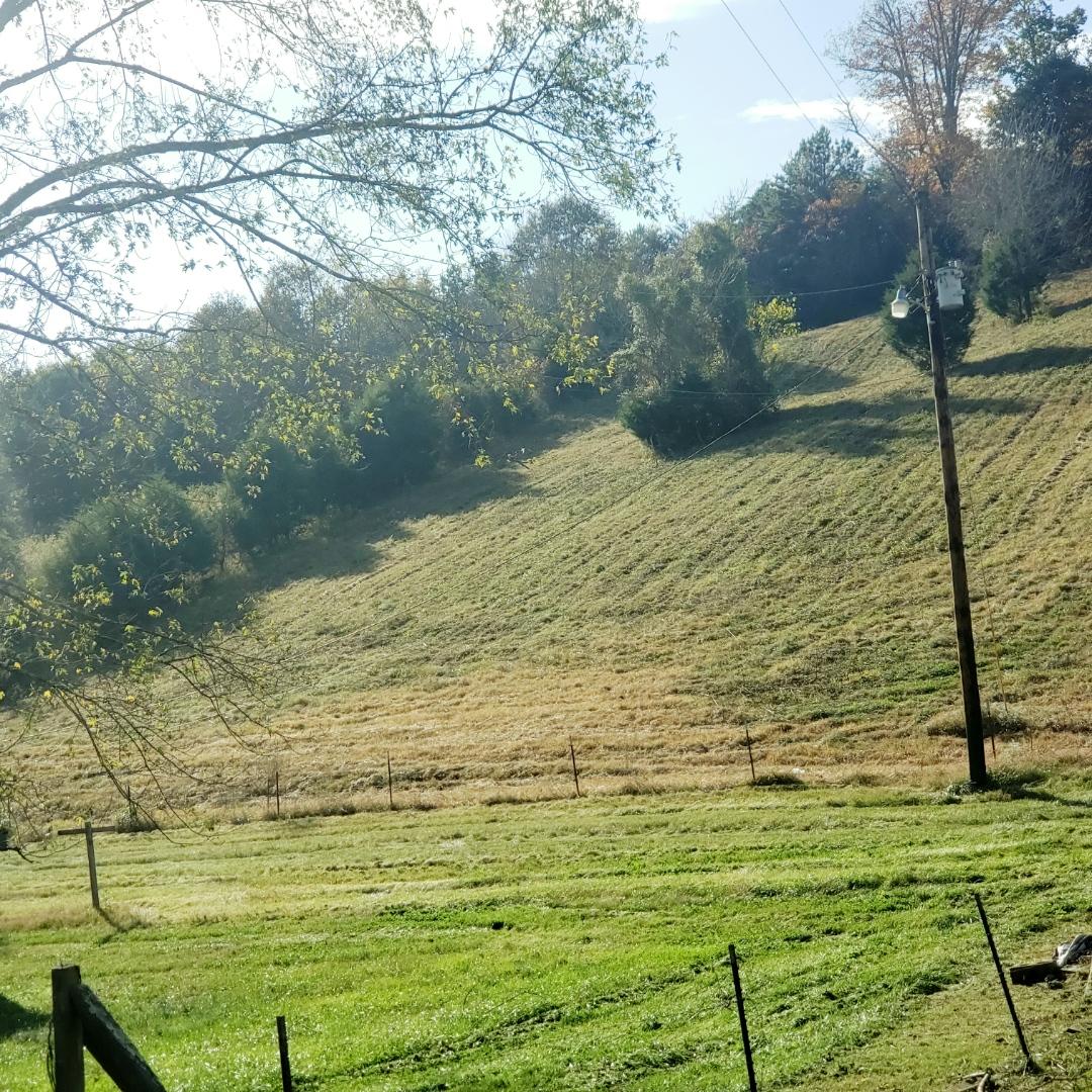 246 Axley Road La Follette, TN 37766 - Photo 13 of 16 F4FE2B6C-626F-49CB-A5F3-F990C84316DE