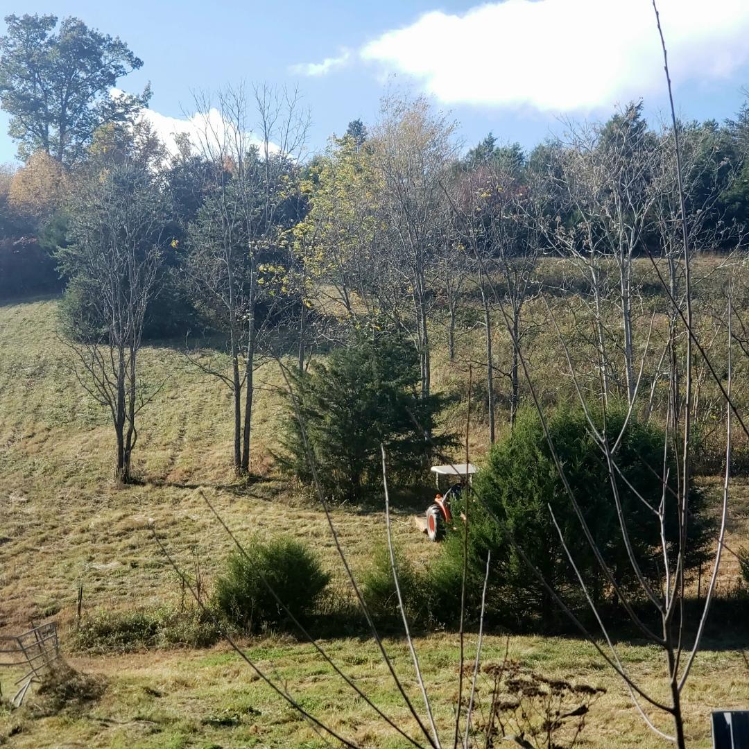 246 Axley Road La Follette, TN 37766 - Photo 4 of 16 830D1524-70F6-400D-9A9F-55FE7C4CE6A7