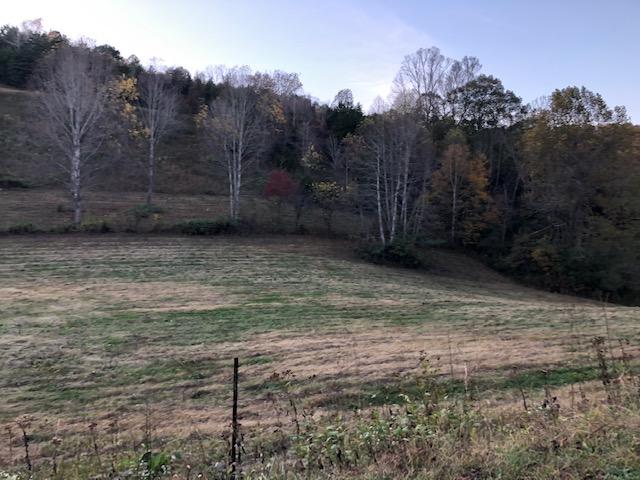 246 Axley Road La Follette, TN 37766 - Photo 5 of 16 image_4
