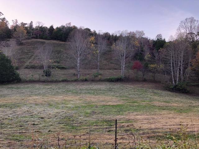246 Axley Road La Follette, TN 37766 - Photo 6 of 16 image_5