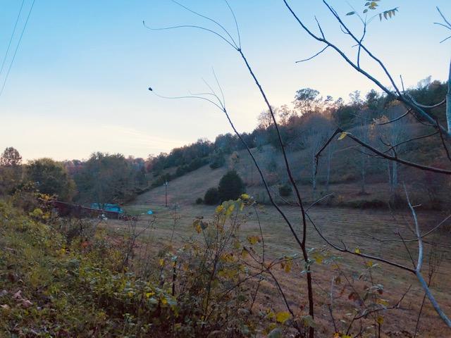 246 Axley Road La Follette, TN 37766 - Photo 7 of 16 image_6