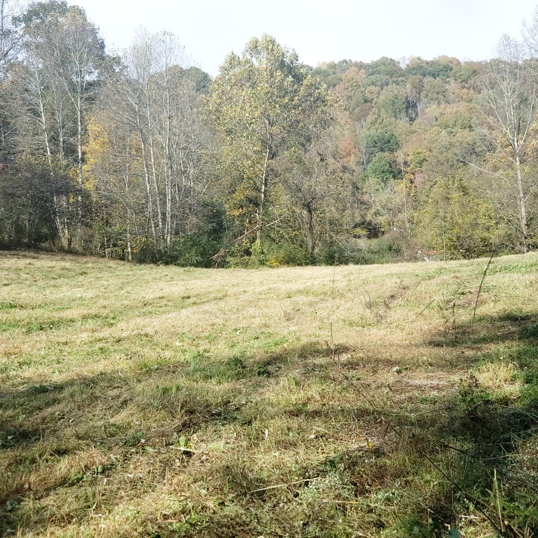 246 Axley Road La Follette, TN 37766 - Photo 9 of 16 78C15EE5-CF9E-4EF6-A588-C11D6C8CBD4C