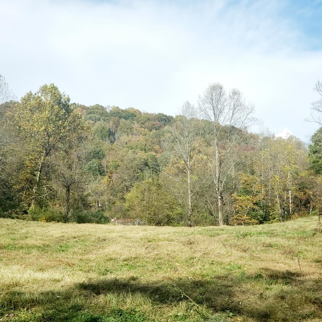 246 Axley Road La Follette, TN 37766 - Photo 10 of 16 B48722DE-686B-45C5-A82B-1821AEFA96CD