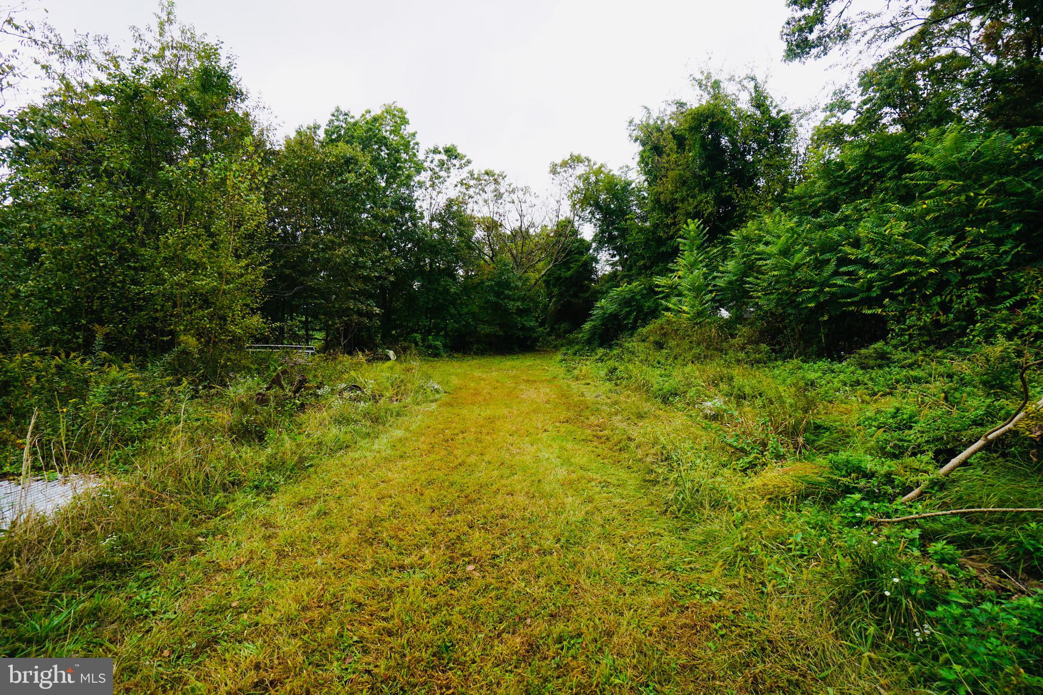 253 Vineyard Road Atco, NJ 08004 - Photo 53 of 54 Gallery Image 53