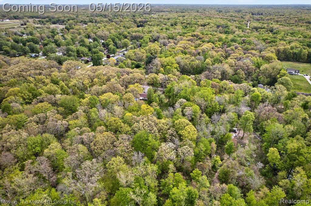 22530 Bohn Road Belleville, MI 48111 - Photo 14 of 28