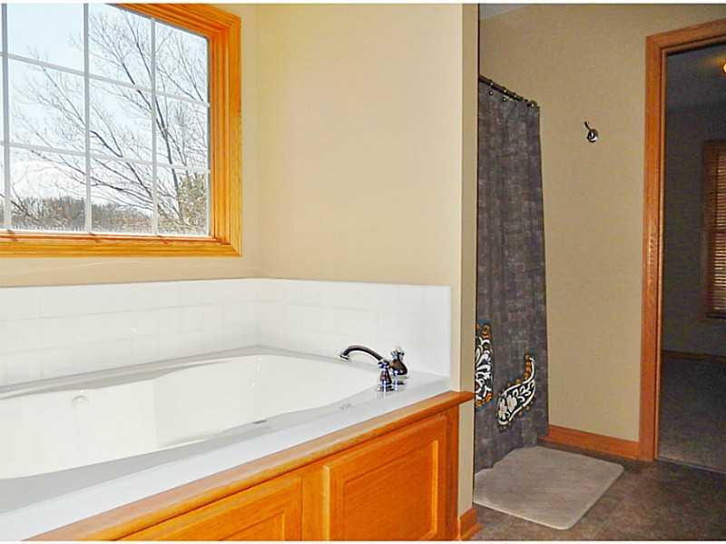 105 Lovi Road Economy, PA 15005 - Photo 13 of 25 Master Bath/Spa.