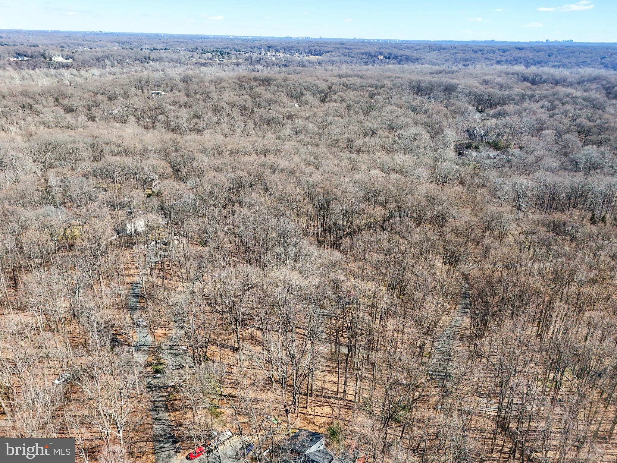 9203 Potomac Ridge Road Great Falls, VA 22066 - Photo 2 of 3 a view of a dry yard with trees