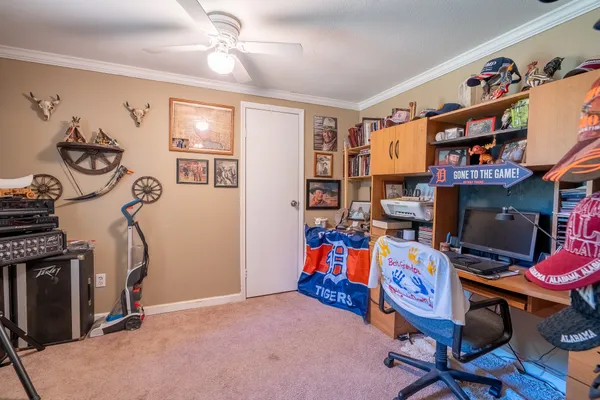 a living room with furniture ceiling fan and a rug
