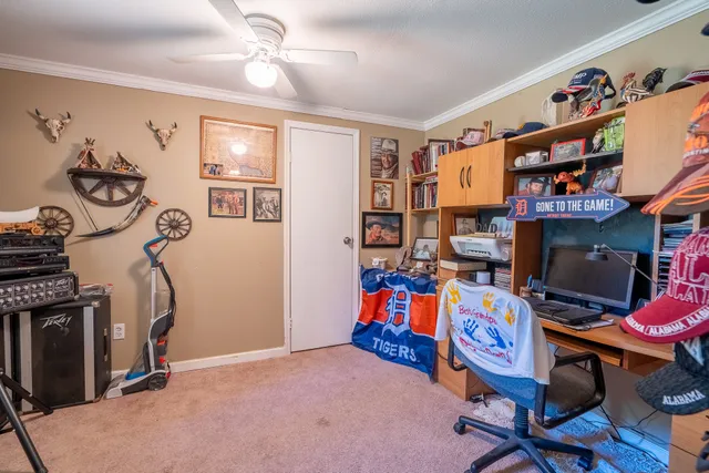 a living room with furniture ceiling fan and a rug