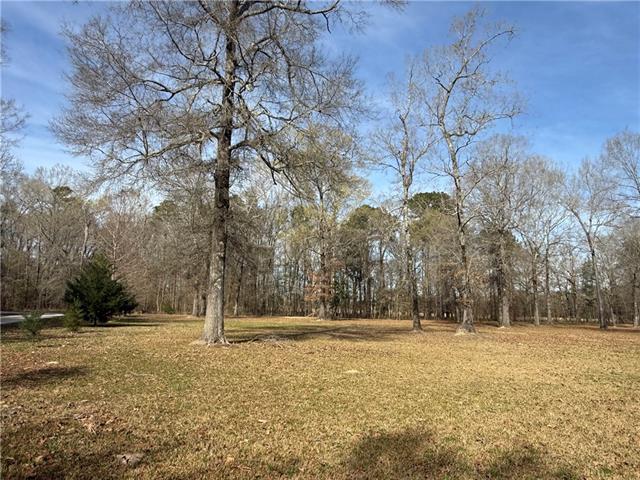 195 Varvarosky Road Deville, LA 71328 - Photo 1 of 24
