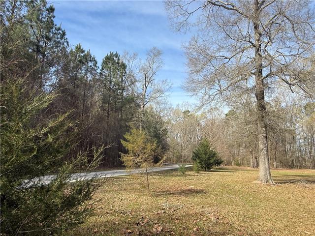 195 Varvarosky Road Deville, LA 71328 - Photo 2 of 24