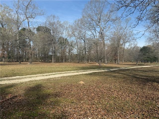 195 Varvarosky Road Deville, LA 71328 - Photo 22 of 24
