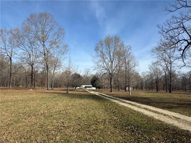 195 Varvarosky Road Deville, LA 71328 - Photo 3 of 24