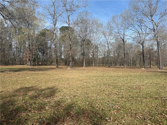 195 Varvarosky Road Deville, LA 71328 - Photo 10 of 24