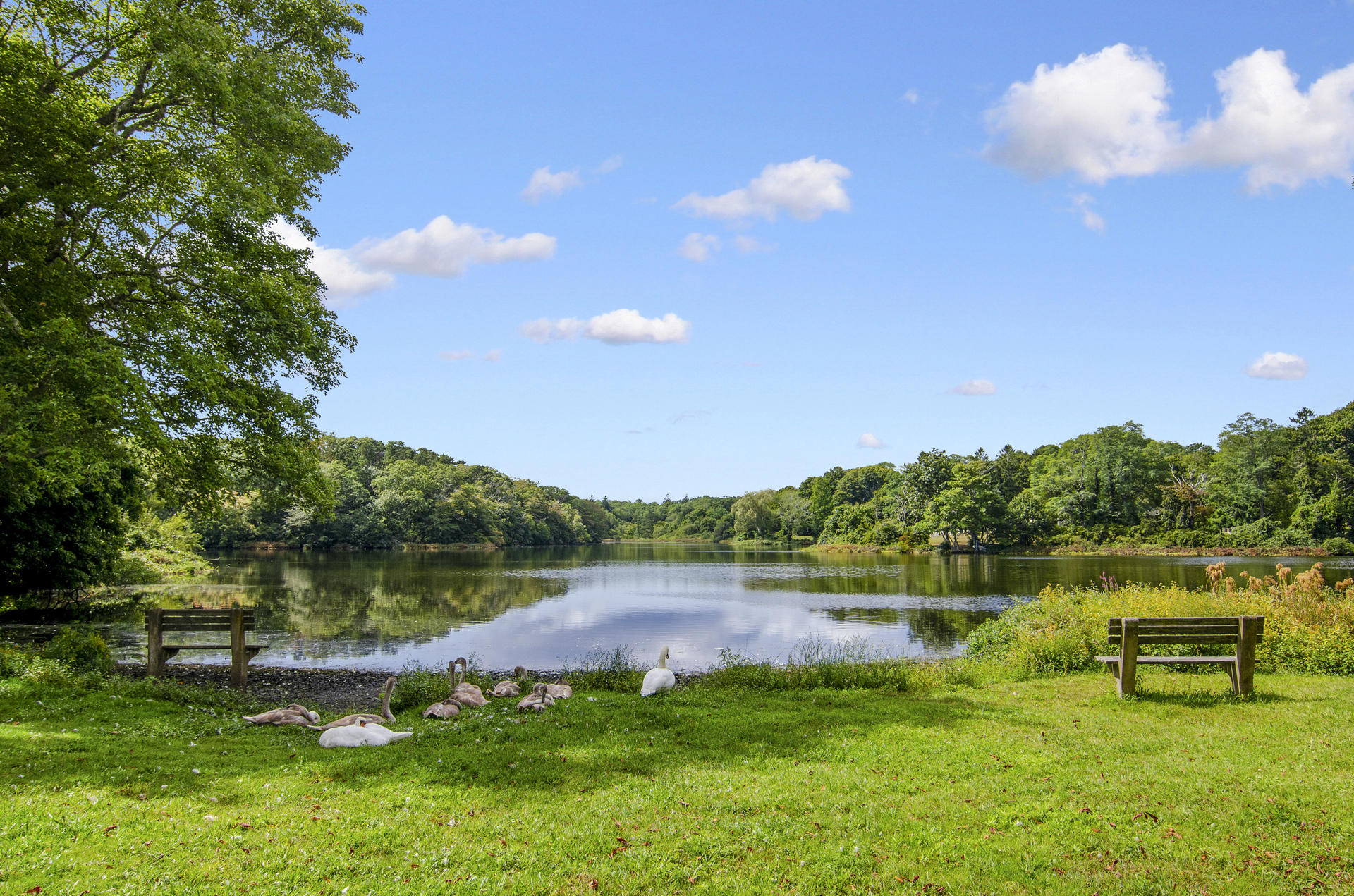 13 Water Street Sandwich, MA 02563 - Photo 4 of 23 Shawme Pond