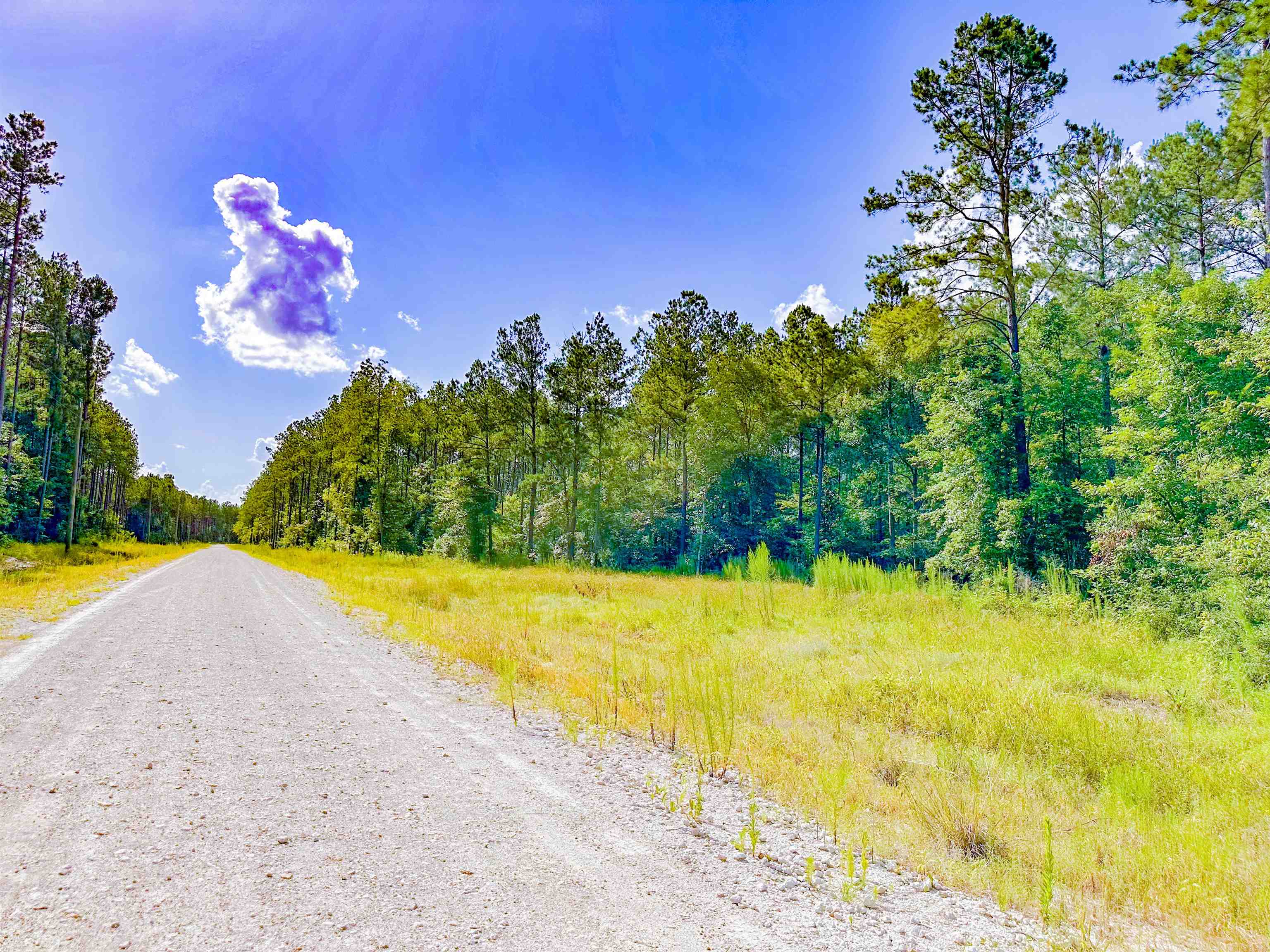 9010 Carter Ranch Road Kountze, TX 77625 - Photo 2 of 8