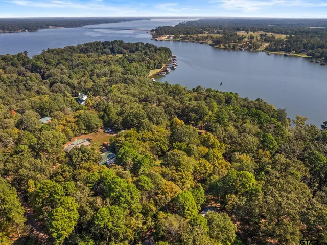 a view of a lake with a city