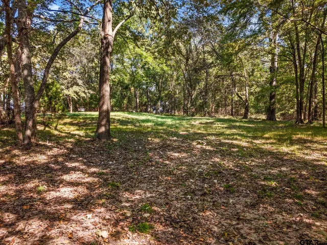 a big yard with lots of green space and trees