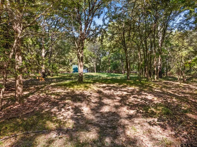a view of outdoor space with deck and yard