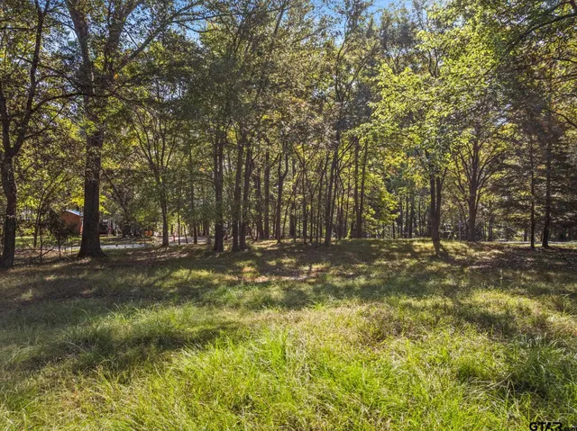 a view of yard with trees