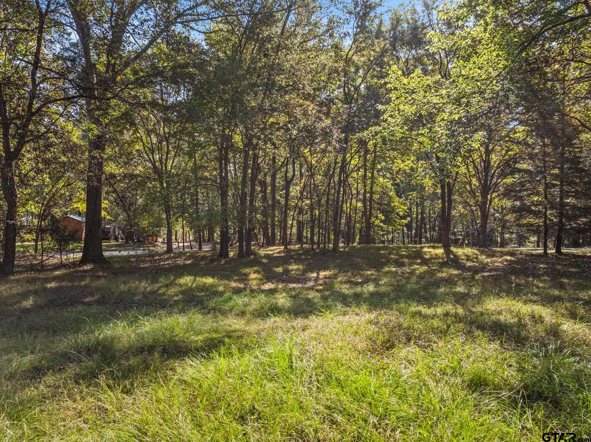 2415 And 2452 Leesburg, TX 75451 - Photo 4 of 13 a view of yard with trees