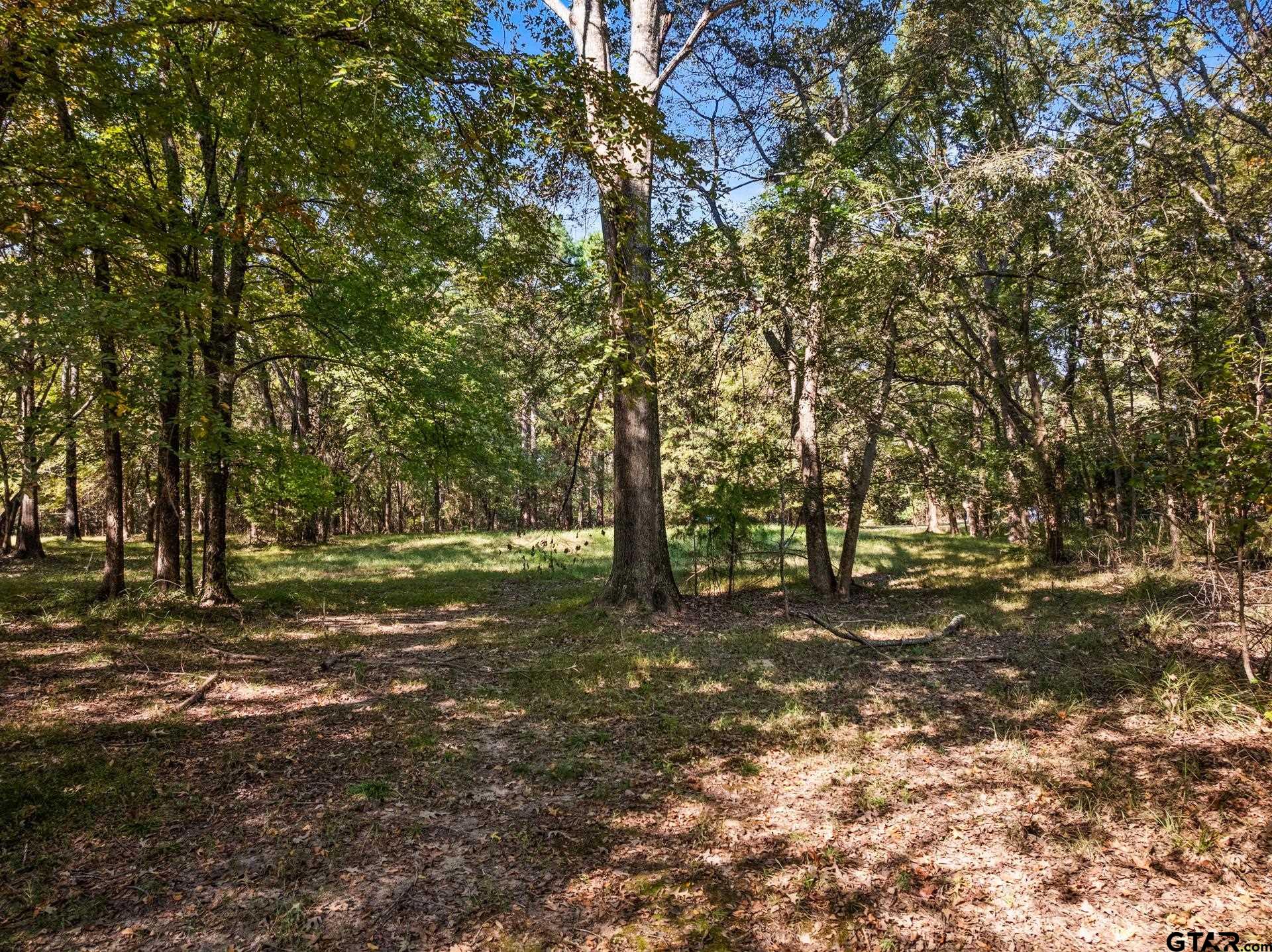 2415 And 2452 Leesburg, TX 75451 - Photo 5 of 13 a big yard with lots of green space and trees